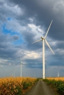 Revoluce v energetice: Firmy se musejí změnit, aby obstály 