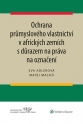 Ochrana průmyslového vlastnictví v afrických zemích s důrazem na práva na označení (E-kniha)