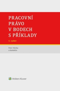Pracovní právo v bodech s příklady - 6. vydání (E-kniha)