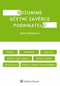 Rozumíme účetní závěrce podnikatelů (E-kniha)