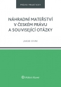 Náhradní mateřství v českém právu a související otázky (E-kniha)