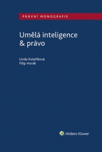 Umělá inteligence & právo (E-kniha)