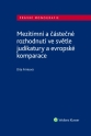 Mezitímní a částečné rozhodnutí ve světle judikatury a evropské komparace (E-kniha)