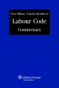 Labour Code Commentary (E-kniha)
