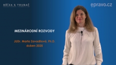 Mezinárodní rozvody