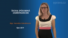 Škoda způsobená zaměstnancem