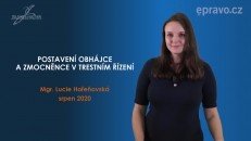 Postavení obhájce a zmocněnce v trestním řízení