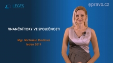 Finanční toky ve společnosti