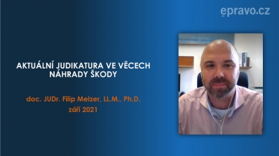 Aktuální judikatura ve věcech náhrady škody