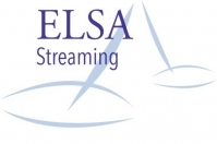 ELSA Streaming: Trestní odpovědnost právnických osob