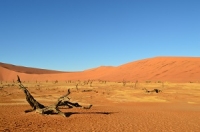 Malebný šepot písečných dun
