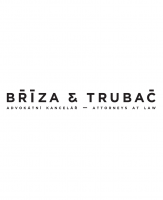 Bříza & Trubač získala prestižní ocenění za své pro bono aktivity