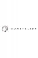 Advokátní kancelář Šíp, Kadlec, Paikrová mění brand na Constelius, vítá také nového partnera Společn